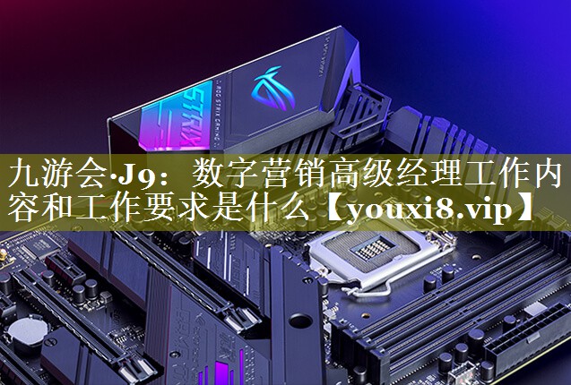 数字营销高级经理工作内容和工作要求是什么