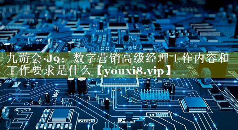 数字营销高级经理工作内容和工作要求是什么